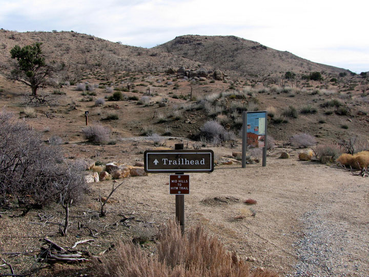 Mojave National Preserve 