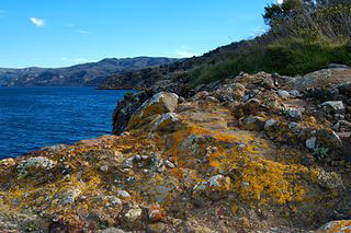 [Lichen encrusted rocks adorn the cliffs of Santa Cruz Island.jpg]